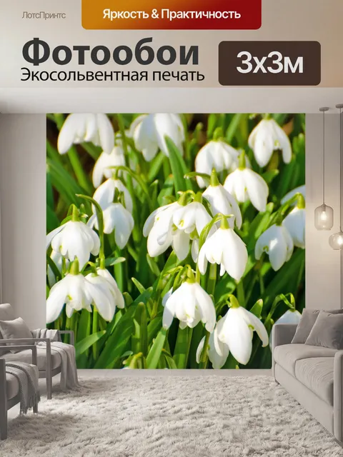 Фотообои Подснежники - Фон