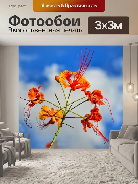 Фотообои Красная райская птица