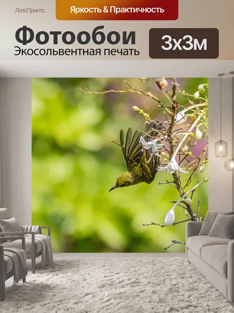 Фотообои Птица