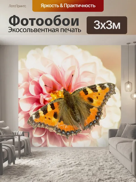 Фотообои Бабочка