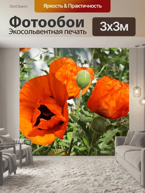 Фотообои Маки