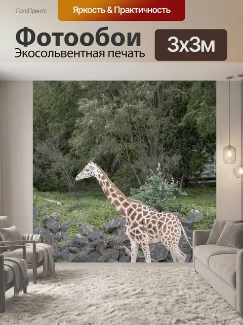Фотообои Жирафа