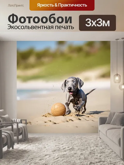 Фотообои щенок веймаранера, играющий с мячом на песчаном пляже