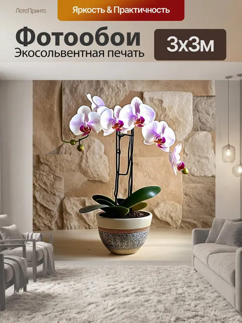 Фотообои фаленопсисы, растущие в керамическом горшке, украшенном традиционными узорами, на фоне стены из…