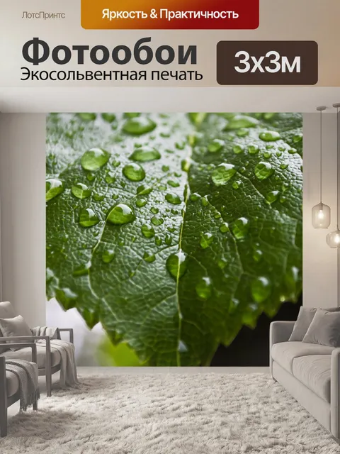 Фотообои Капли дождя на листьях