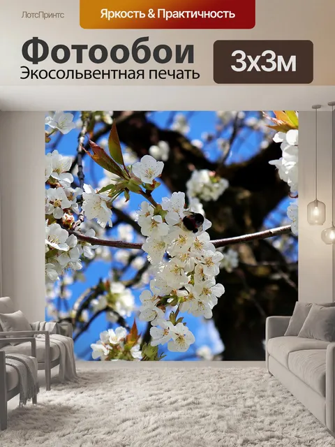 Фотообои Шмель