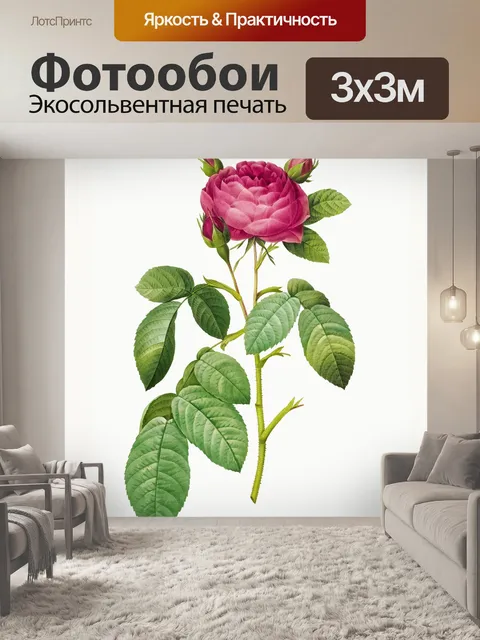 Фотообои Роза цветок старинная картина