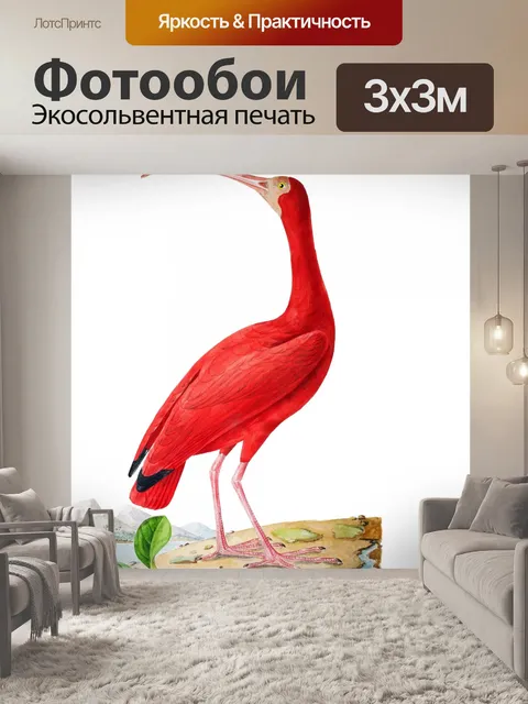 Фотообои Птица Ибис Винтажное Искусство