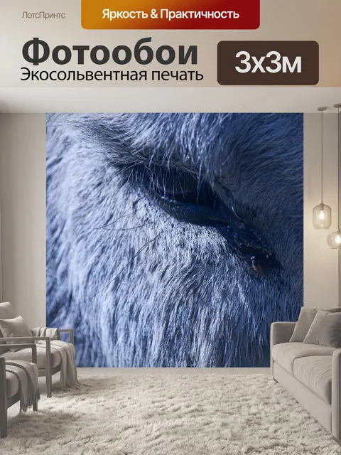 Фотообои летать, сидя на ворохе ослиного глаза
