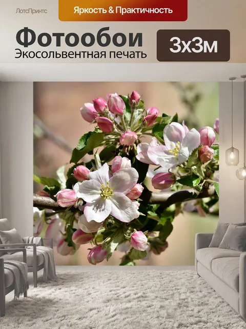 Фотообои Цветение яблони