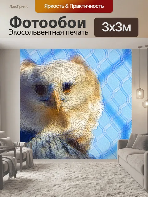 Фотообои Гарпия Орел, орел, птица, живая природа