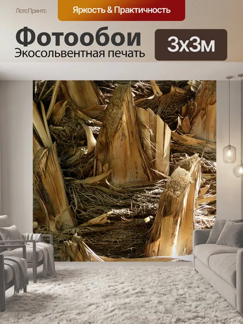 Фотообои Фон коры ладони