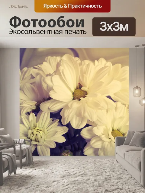 Фотообои Хризантемы
