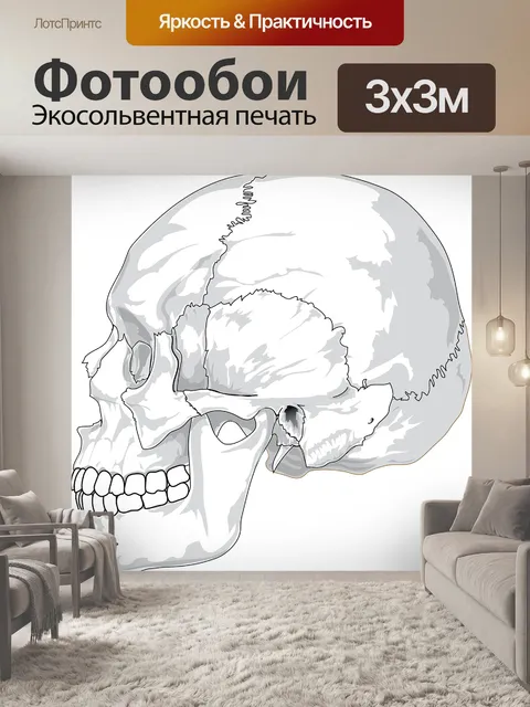 Фотообои Череп