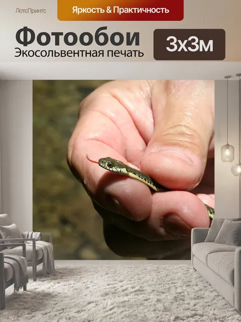 Фотообои Подвязка змея