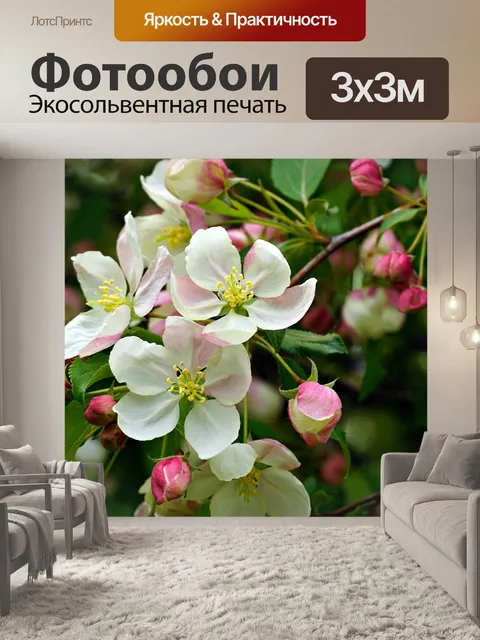Фотообои Цветение яблони