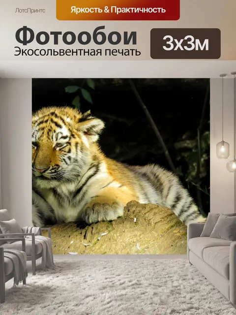 Фотообои Животное