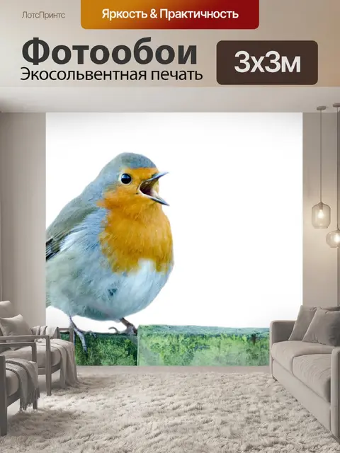 Фотообои Животное