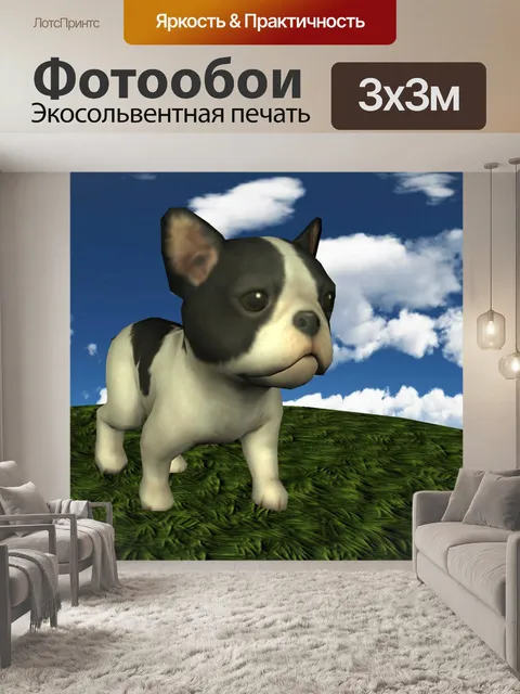 Фотообои бостон-терьер