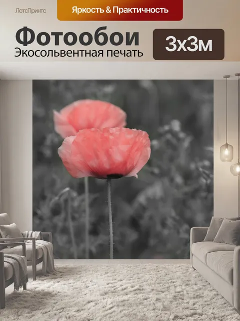 Фотообои Мак цветок