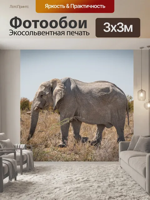 Фотообои Намибия