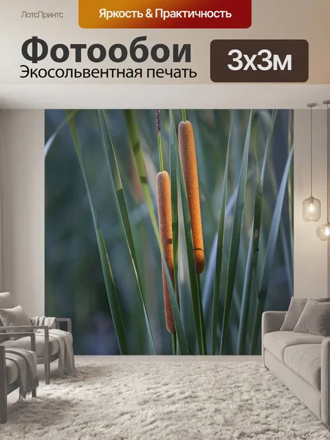 Фотообои Озеро