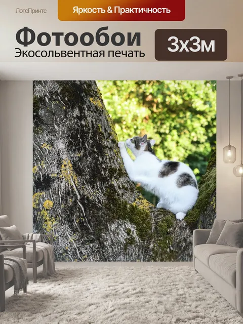 Фотообои Кошка