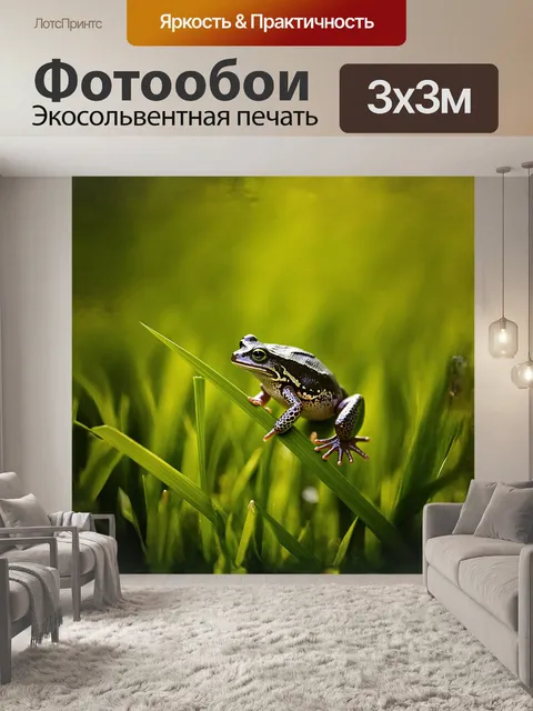 Фотообои минималистическая фотография в стиле макрофотографии: лягушка