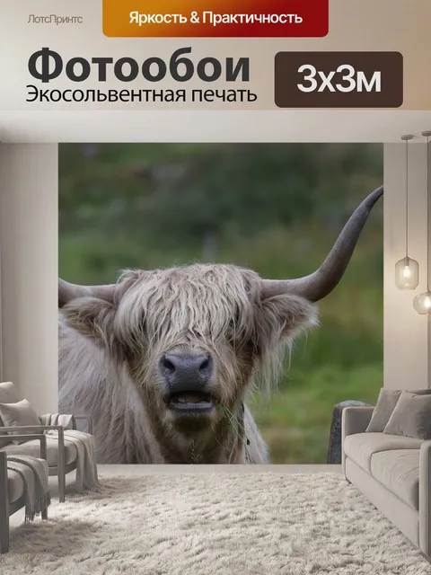 Фотообои Высокогорная корова