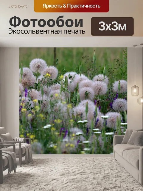 Фотообои Одуванчик