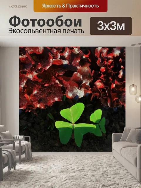 Фотообои зеленые кислица и красный салат