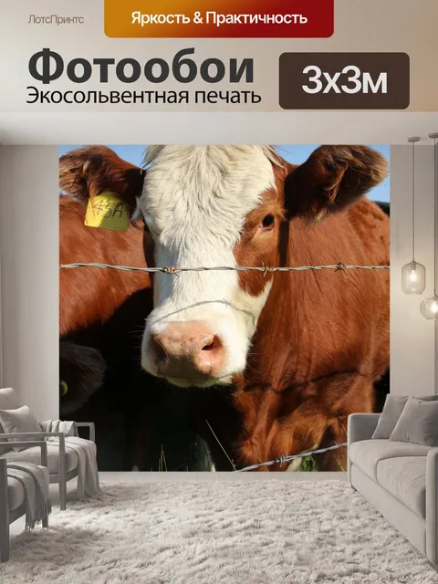 Фотообои Стадо коров выгона