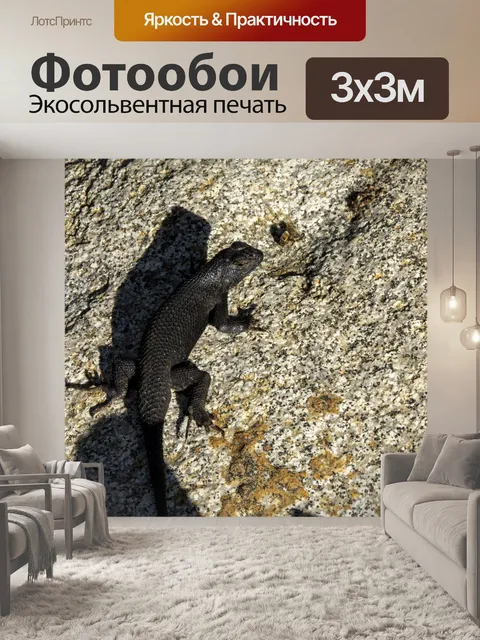 Фотообои ящерица