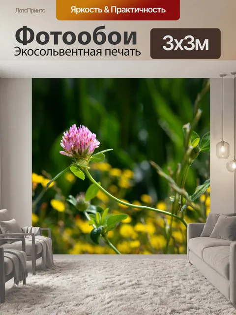 Фотообои Красный клевер, трава, растение