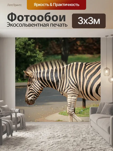 Фотообои зебра в зоне пикника в парке