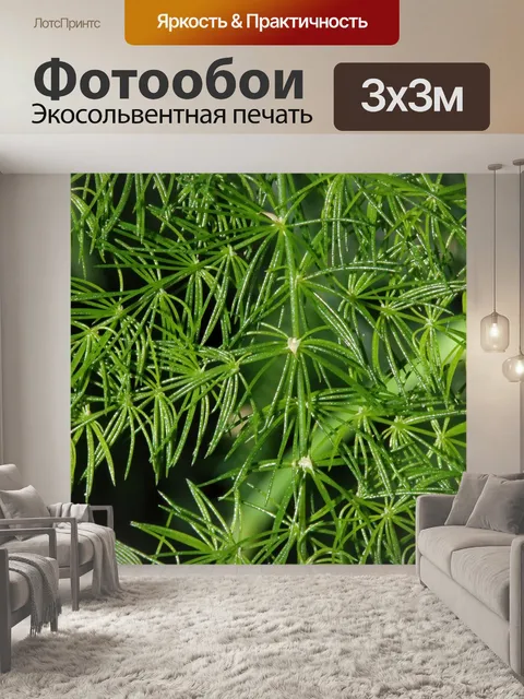 Фотообои тонкая текстура дикой спаржи
