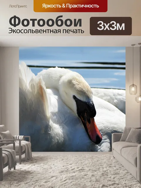 Фотообои Лебедь