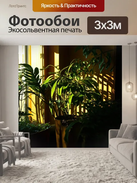 Фотообои природа в стиле арт-нуво, с растениями в тени, контраст светлых и темных тонов, стилизованные силуэты