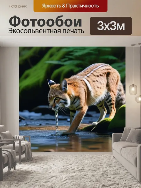 Фотообои рысь, пьющая из ручья в лесу