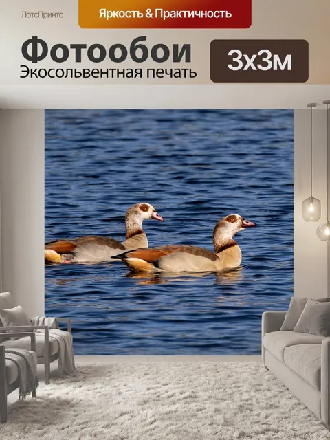 Фотообои Египетские гуси