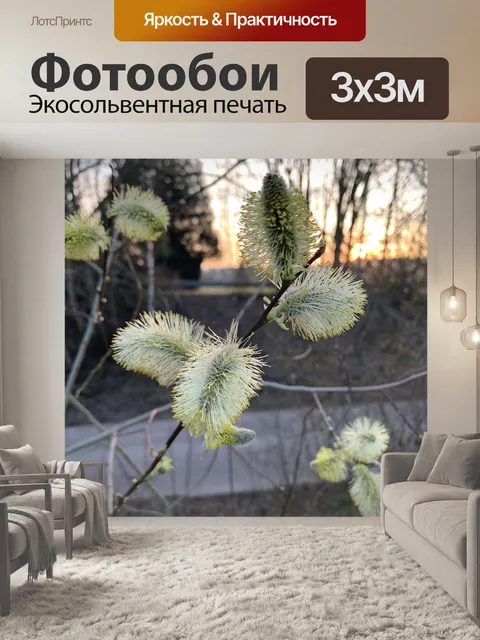 Фотообои Японский