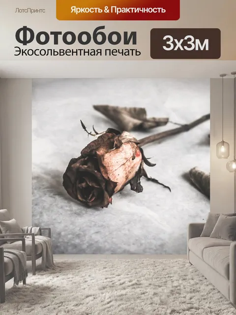 Фотообои Роза