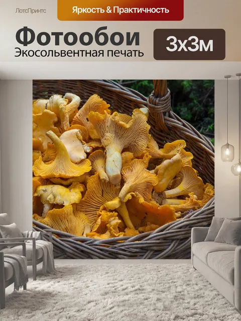Фотообои Грибок