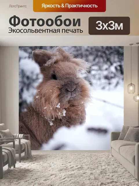 Фотообои Кролики