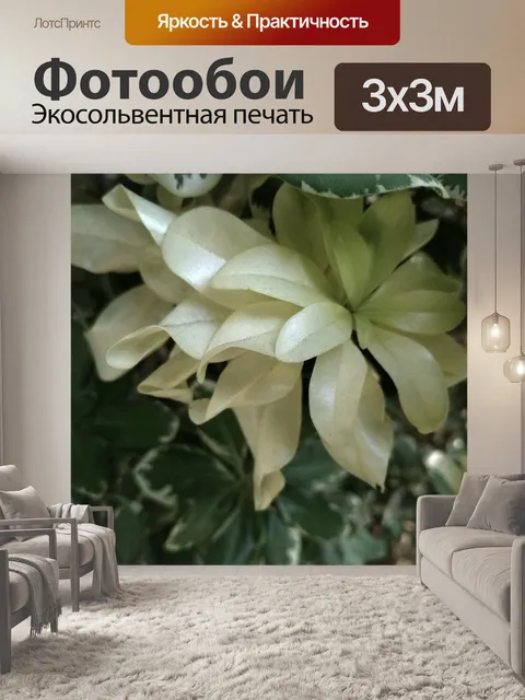 Фотообои Белые листья растений
