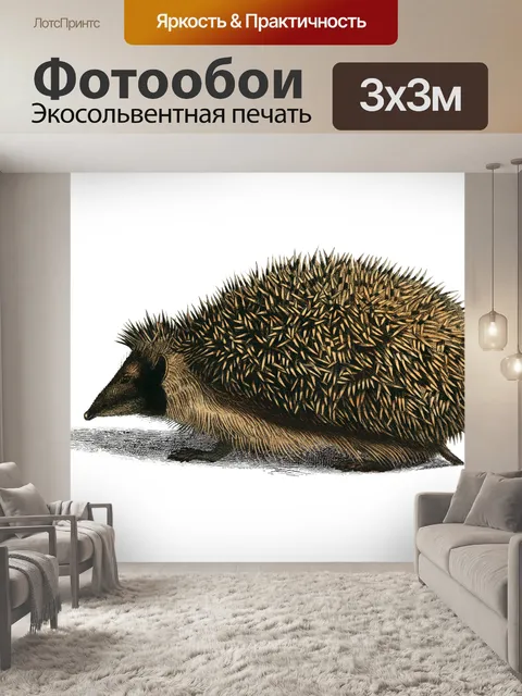 Фотообои Клипарт Ежик винтажный