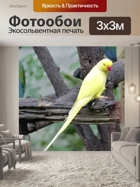 Фотообои Волнистый попугайчик