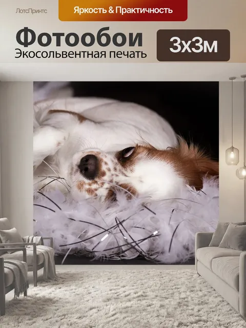 Фотообои Собака