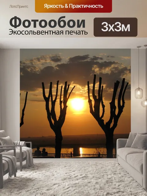 Фотообои Закакт