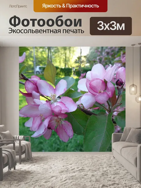 Фотообои Яблоневые цветы